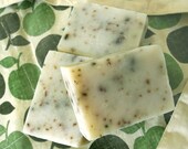 Crisp Apple Bar of Soap from Twig Natural Soap
