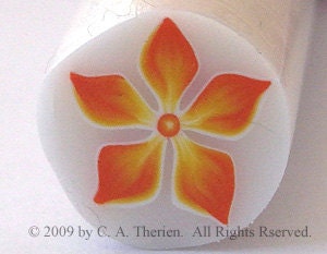 RAW Magnolia Polymer Clay Cane