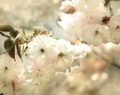 Cherry Blossom Art, spring art, spring decor, gift for mom, White Bedroom Decor, dreamy photography