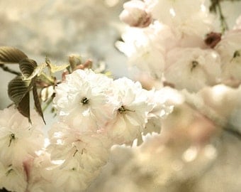 Cherry Blossom Art, spring art, spring decor, gift for mom, White Bedroom Decor, dreamy photography