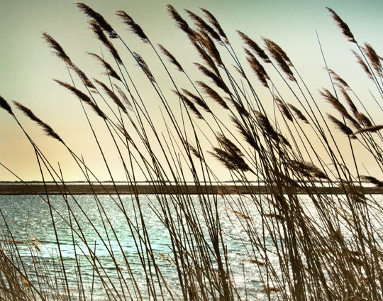 Beach decor, Summer Decor, summer wall art, Ocean photography, beach house art, large wall art, beach photography - 11x14 - Shining Through