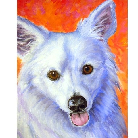 AMERICAN ESKIMO PORTRAIT ON RED-ORANGE BACKGROUND