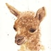 Watercolor ALPACA  Print 8x10inches - Charming Cria