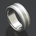 Titanium Ring Brushed Hammered Silver Ring