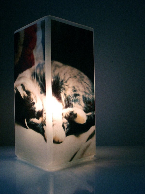 Glass Polaroid Cat Photo Table Lamp - Dawn's First Light - Unique Housewarming Gift, Home Decor, Functional Illuminated Art