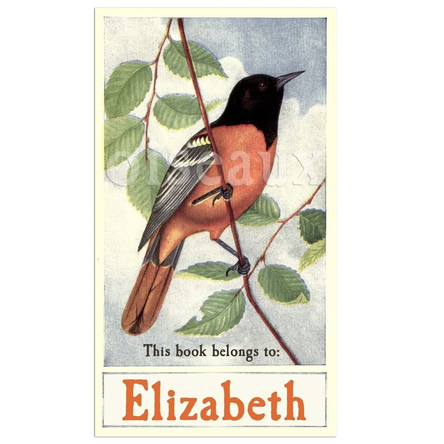 Vintage Oriole Personalized Bookplates - Nature Lover, Perfect Teacher's Gift