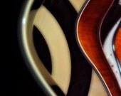 Smooth Curves - 11x14 Fine Art Photographic Print