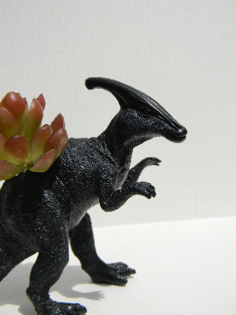 Black Dinosaur Planter for Succulent Plants Fun Office Decor Unique Decor or Gift