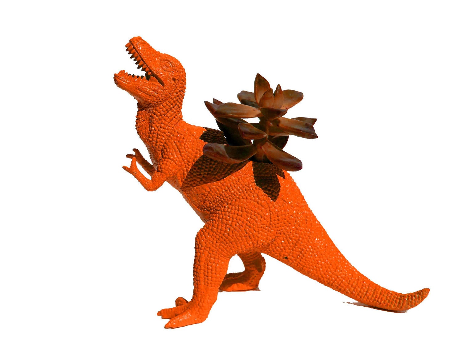Unique Gift Dinosaur Planter TREX Great Dorm Office Home Decor Gift for Get Well Boss' Teachers