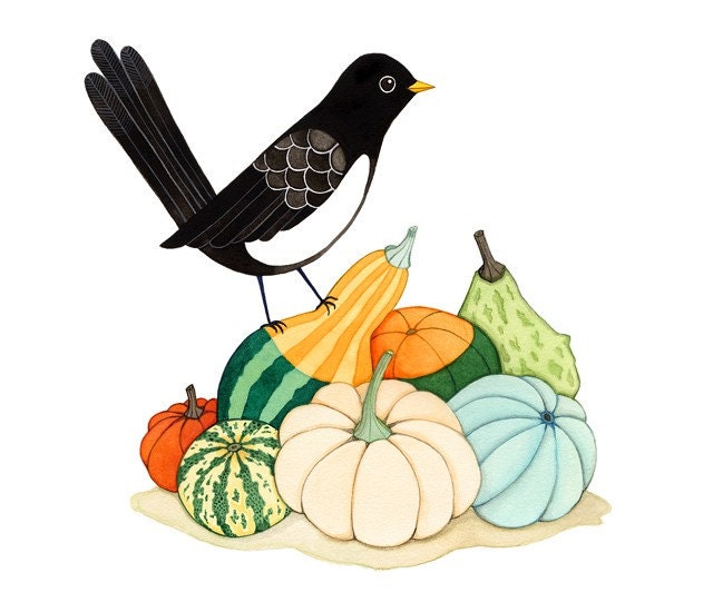 Blackbird print, Pumpkin harvest and Magpie
