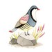Bird watercolor paintings - 8x10 archival art print - Bird wall decor - Farmhouse painting