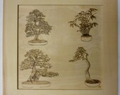 Bonsai Pyrographic Wood Burn Art Original Panel 15.5 x 15.5 inch Complete with Frame by Pigatopia