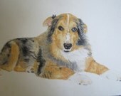 Border Collie Puppy Pet Portraits Original Watercolor Memorial U Provide Picture or Idea 18 x 24 inch by Pigatopia