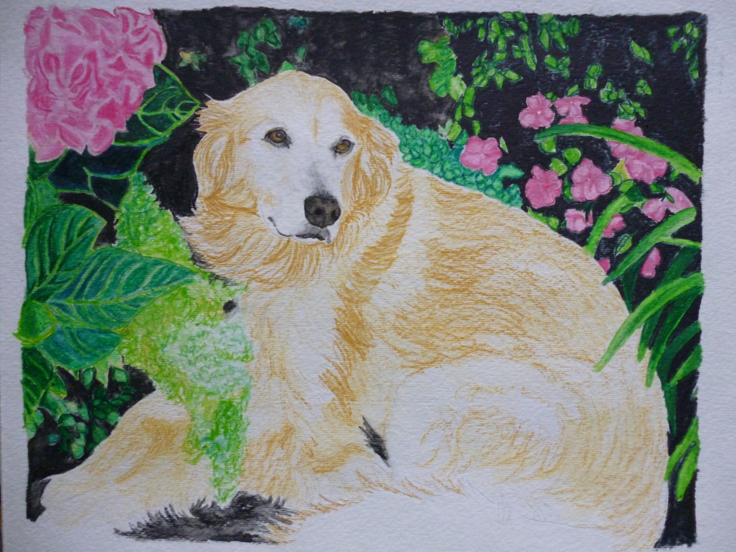 Golden Retriever Memorial Watercolor Portrait U Provide The Picture or Idea Made to Order 9 x 12 inch by Pigatopia