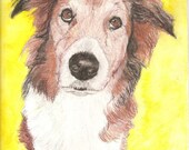 Collie Pet Portraits Original Watercolor Memorial U Provide Picture or Idea 9 x 12 inch by Pigatopia