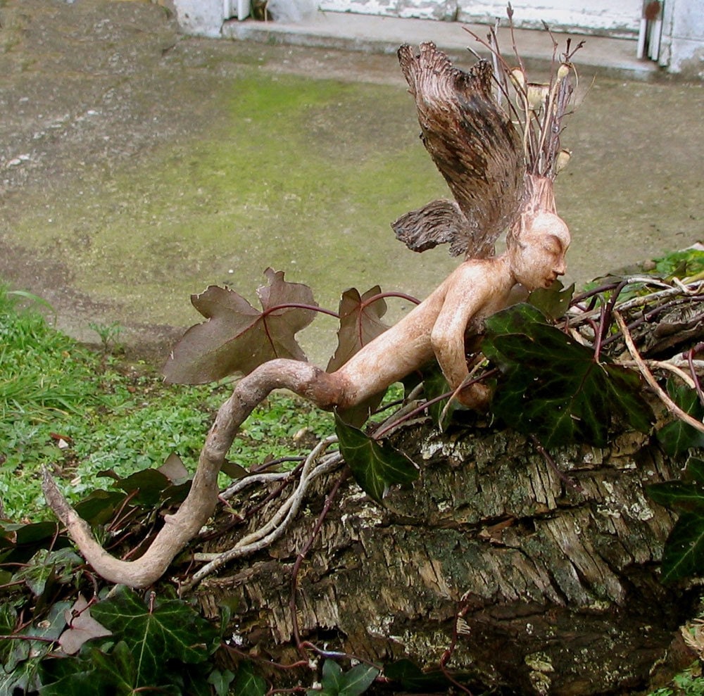Fairy Science Larval Specimen