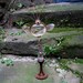 SALE Fairy Science  Device to View the Fairies and Essence Sample