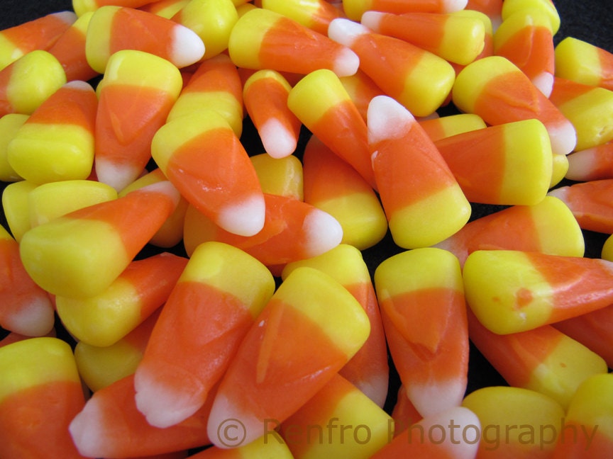 Candy Corn - Set of 4 - Blank Cards - Handmade - Photo Greeting Cards - Holiday - Halloween - Orange - Yellow - Autumn - Fall - Macro