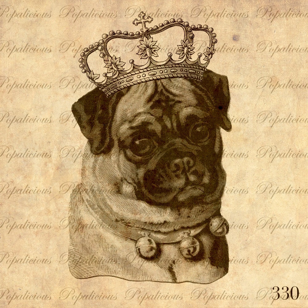 Pug With Crown