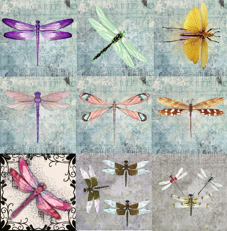 Set of 9 digital dragonfly sheet  you print