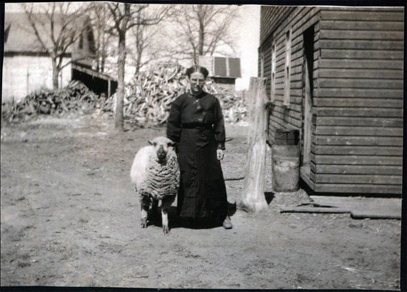 vintage photo 1910 WOman on Farm w Her Pet Big Sheep vintage photo