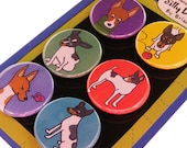 Toy Fox Terrier Magnet Set