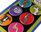 Italian Greyhound Magnet set