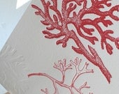 Coral 5 x 7 Print (Letterpress)