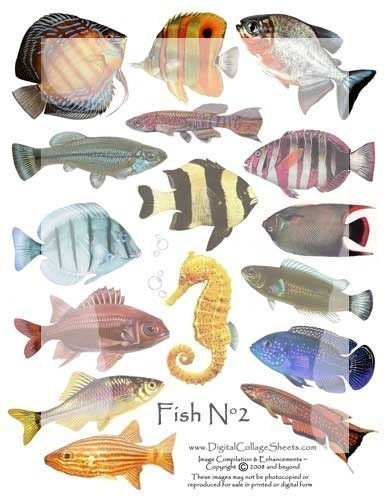 Instant Download Fish Digital Collage Sheet -   Altered Art- Fish Images- DCS-295 - DigitalCollageSheets, Printables, Downloads