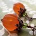 Orange Pumpkin Earrings, Vintage Style Halloween Jewelry, Antiqued Copper, Thanksgiving, Gift for Gardener, Pumpkin Jewelry