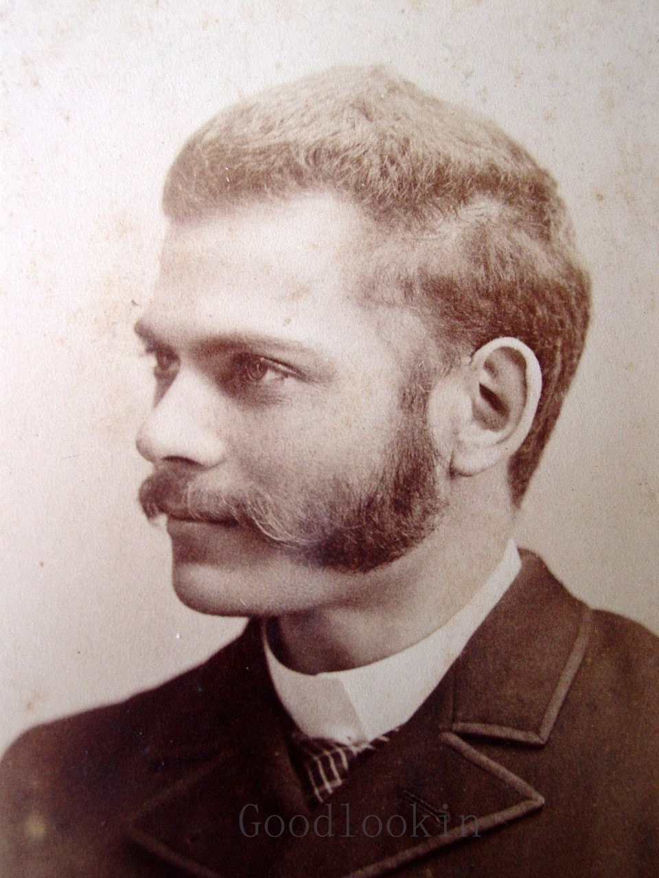 English Mutton Chops