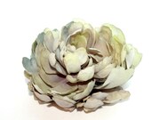 Silk Blend Peony in Sea Green - Stunning - 4 inches