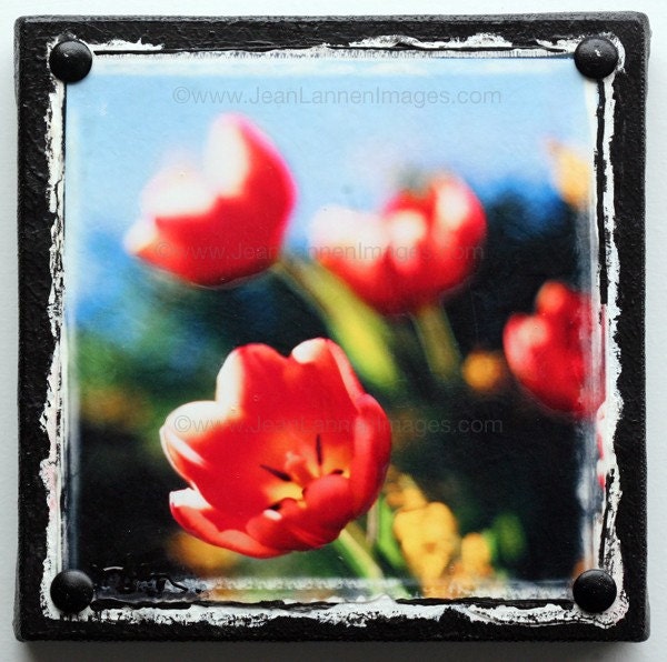 Red Tulips in the Sun, Original One Of A Kind Altered Photograph on Stretched Canvas Summer Spring Flowers, turquoise sky By Jean Lannen