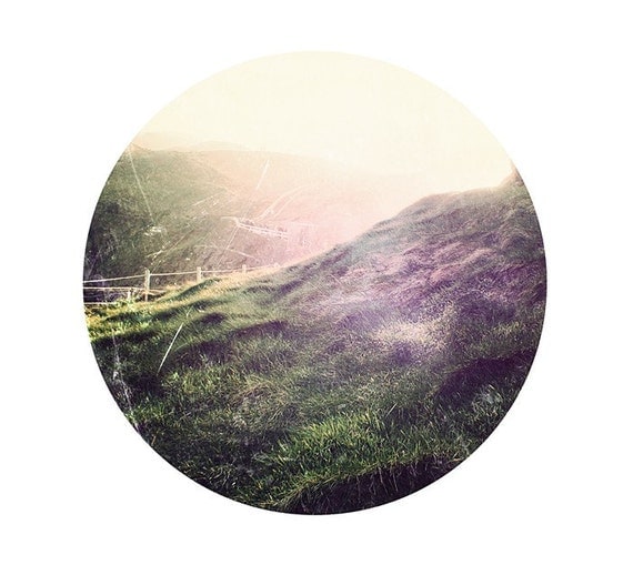 Irish Grass