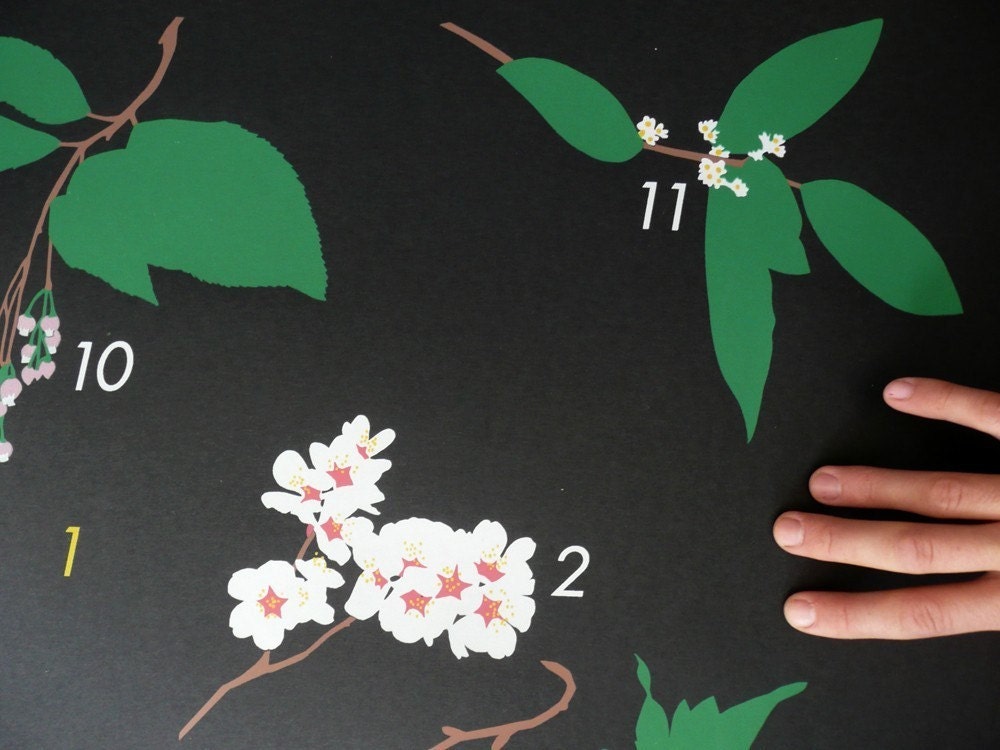 LAST CHANCE FOR California Flowering Trees / Claire Nereim