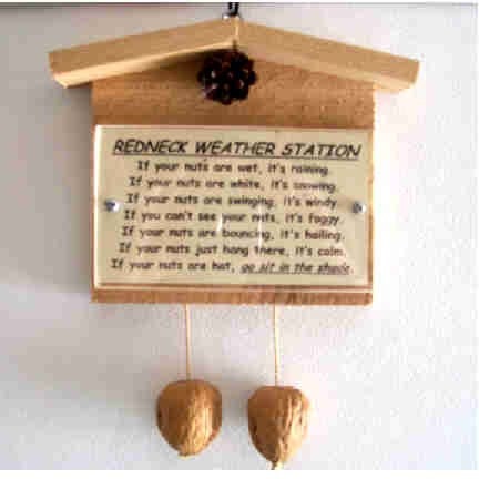 Redneck weather station novelty gag gift (custom title available)