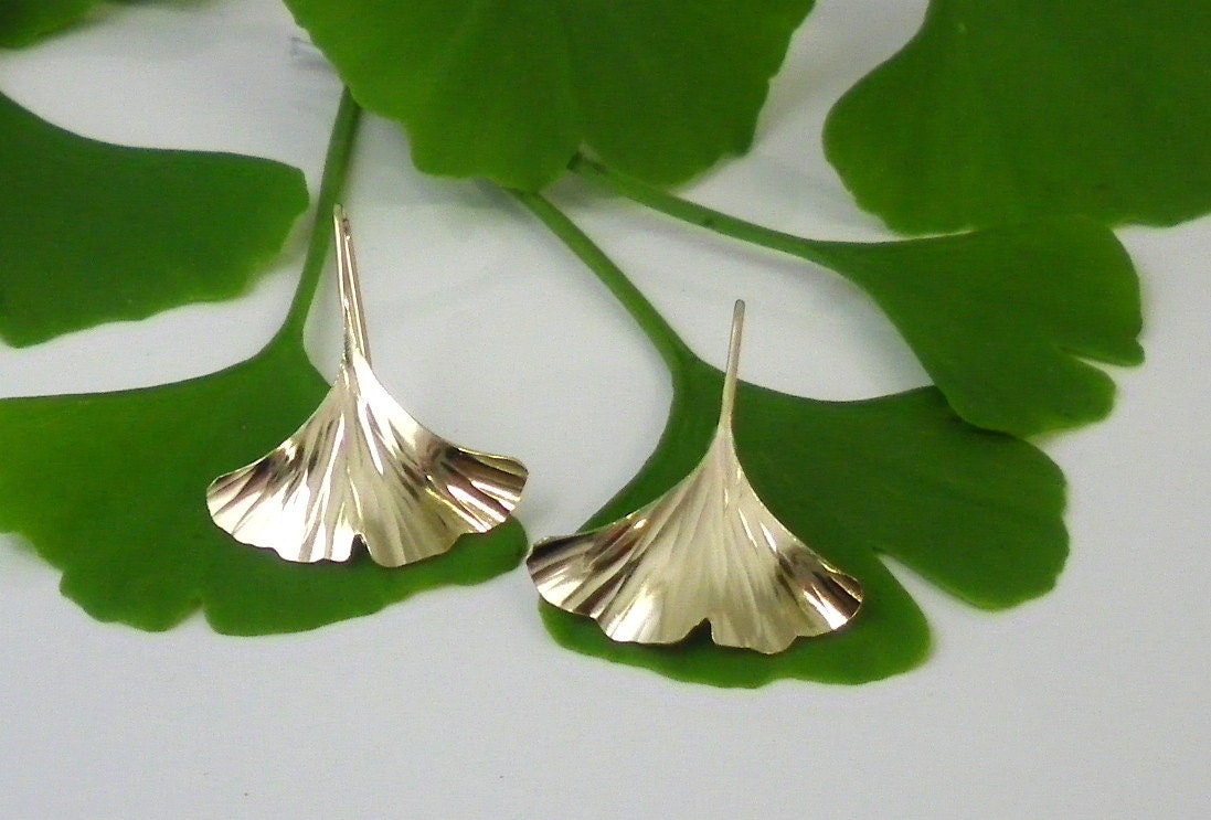 Ginkgo Earrings, Gold Filled, Small,100gf