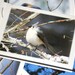 Backyard Birds Photo Note Cards - Set of 4