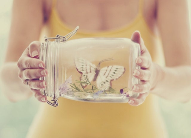 Preservation - approx 13x18cm / 5x7in fine art glossy photo print - butterfly, jar, nature, environment, ecology, fpoe - karinelizabeth