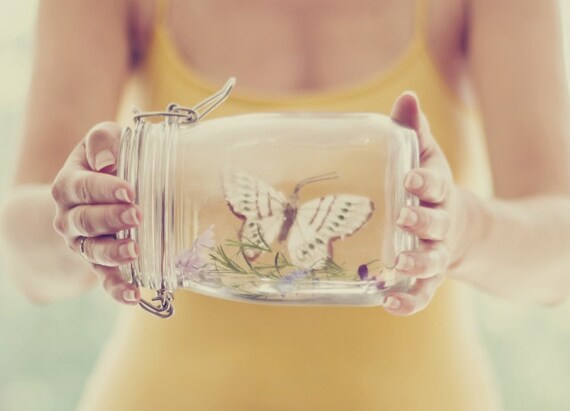 Preservation - approx 13x18cm / 5x7in fine art glossy photo print - butterfly, jar, nature, environment, ecology, fpoe