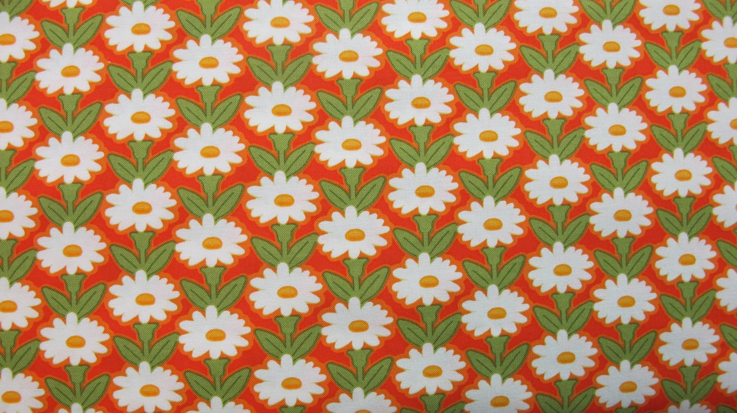 Daisy Daze by Michael Miller - 1 Yard - 7.75