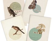 Woodland Card Set- Digital PDF Cards for Download and Print