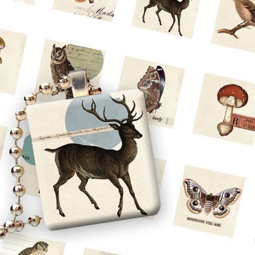 Woodland 1x1 inch square digital collage sheet images