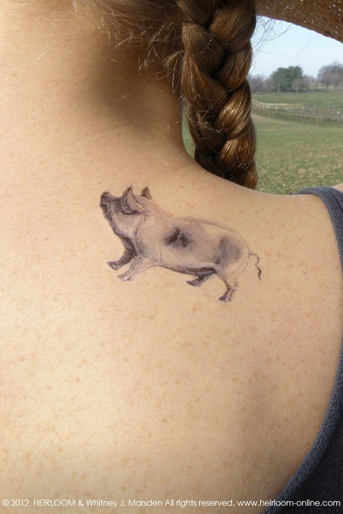 Limited Edition: Spring Farm Animal Temporary Tattoo Series
