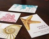 Nautical Calling Cards - set of 50 - assorted designs