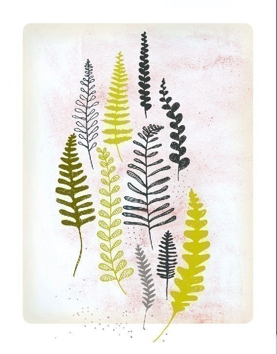 Ferns
