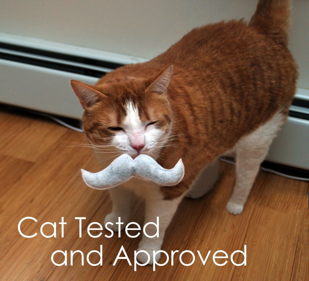 2 pack Mustache catnip toys - pick your colors