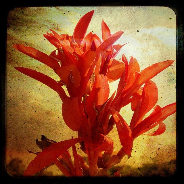 8x8 Into the Sky Flower - Home Decor