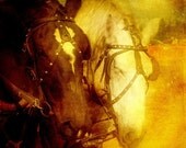 Two Horsepower - Stretched Canvas Gallery Wrap - 20x20 - Home Decor