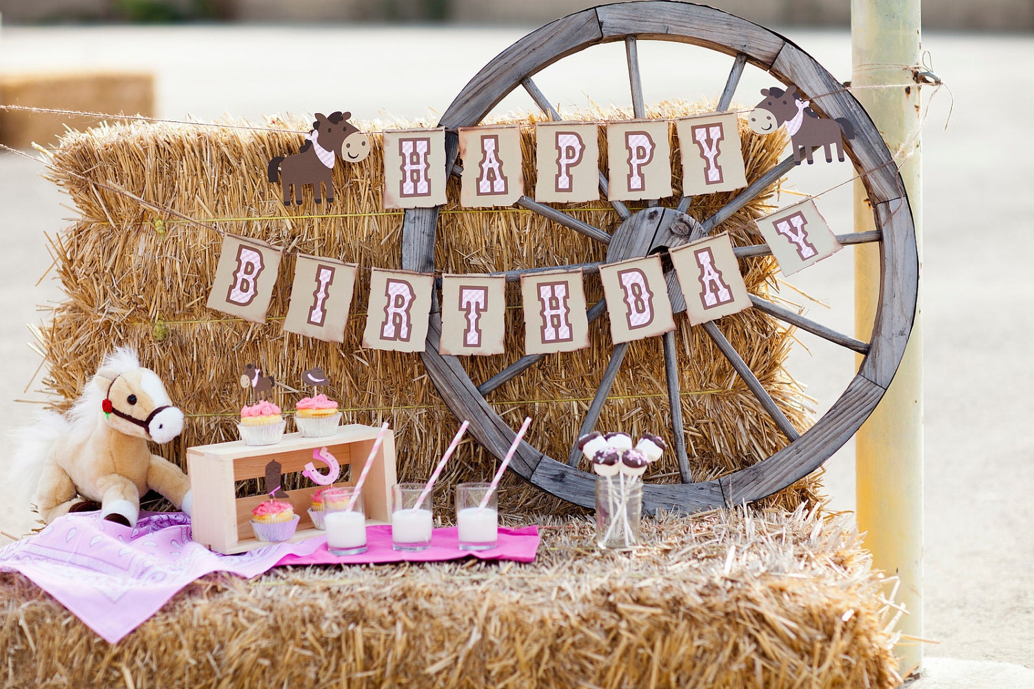 Giddy Up Cowgirl Cupcake toppers Set of 12 - Handmade
